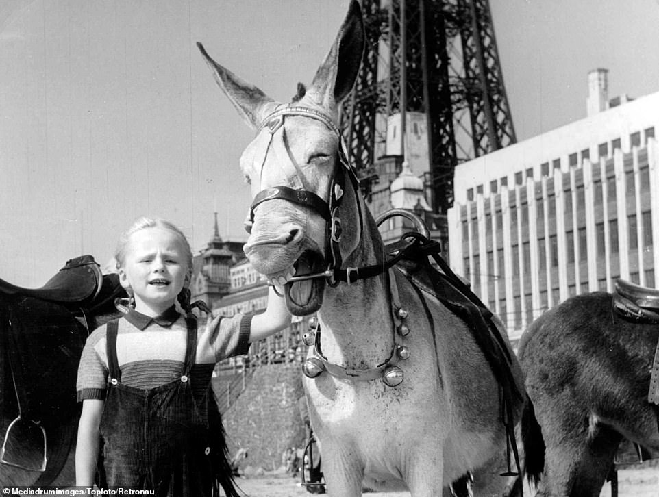 A child poses for a photograph while holding a bucket and standing next to a donkey at Blackpool beach. After a hugely successful opening, Billy decided to open a second camp in Clacton-on-Sea before the end of the 40s