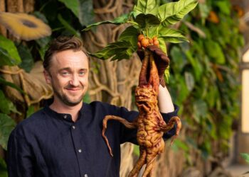 Harry Potter’s Tom Felton ‘returns’ to Hogwarts after unveiling studio tour exhibition