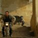Jurassic World Dominion – ‘Jeff Goldblum steals show in fitting end to franchise’