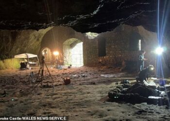 Woolly Mammoth bones found under Pembroke Castle