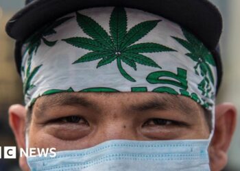 Thailand legalises cannabis trade but still bans recreational use