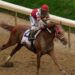 Post positions and odds for the 2022 Belmont Stakes